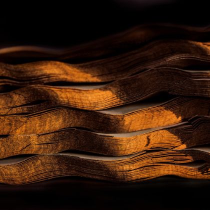 /news/steinway-news/20210316發現史坦威儲木廠
